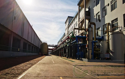 更綠色更環保--瀛海香料攜手博奕方略為實現碳中和而努力