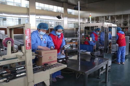 復工復產進行時丨將一顆冬棗 吃干榨凈 串起鏈條助力產業提質加速