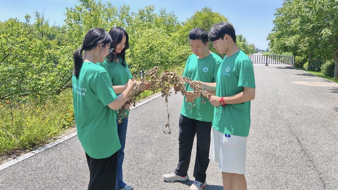 河南農(nóng)大學(xué)子走進(jìn)艾草“超級(jí)工廠” 探索科技賦能鄉(xiāng)村振興之路