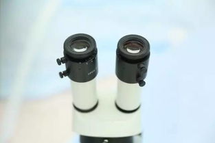 9月新疆，您不得不知的五大看點(diǎn)與保健器械建議